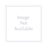 HiTi Magnetic Encoding Module for HiTi CS 200e Card Printer