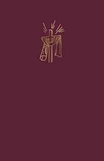 Livro Bíblia Sagrada Slim NVI, Luxo, cereja