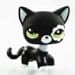 Xhren Cute Rare Black Cat Green Eyes Flower Patch Kids Toy Littlest Pet