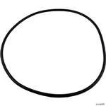 Waterway Plastics 806105194749 Main Body O-ring