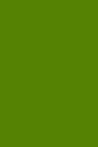 Journal Avocado Green Color Simple Plain Green: (Notebook, Diary, Blank Book) (Monochromatic Full Color Journals Notebooks Diaries) Paperback – 26 Feb. 2017