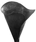 Tulip Blank Large 10