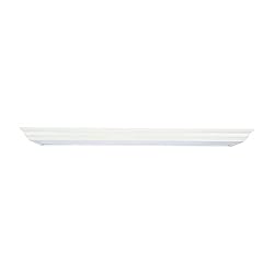 Lithonia Lighting FMFL 30840 CAML OA 4-Foot LED