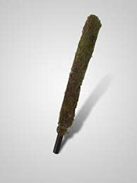 planatzee Moss Stick for Climbing House Plants - 2.5ft pack of 2