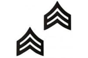 INSIGNIA DEPOT US Army Black Metal Subdued Pin-On Rank