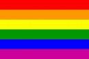 HUGE 8ft x 5ft Gay Pride Rainbow Material Flag by Flag Co