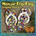 Midwest Products Mosaic Flip Flop Stepping Stone Kit