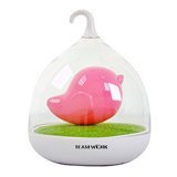 LED Pink Bird bight Light Childrens Toddler and Baby Bird Night Lights with Usb Charger Included! GR LED Pink Bird bight Light Childrens Toddler and Baby Bird Night Lights with Usb Charger Included! GR