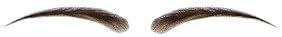 Natural Eyebrow Wig Medium