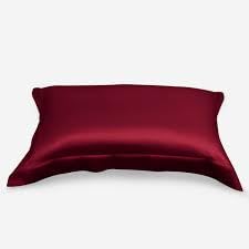 Waterlily 100% Mulberry Silk Pillowcase Oxford Pillowcases for Hair and Skin Envelope 50x75cm Both Sides 19momme Charmeuse Soft Natural Organic Luxury Pillow Case Cover (1, Burgundy)