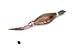 Remington Pheasant Large Foam Dog Trainer