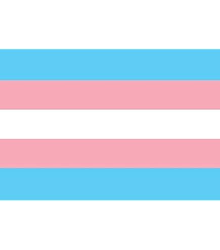 Progress Pride Flag Vinyl Decal Sticker - LGBTQ POC Transgender Inclusive, 2 Inch (2 Pack) - View #6