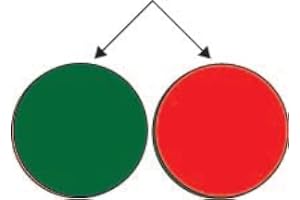 Data Control Inc Flip Over Magnetic Double-Sided Symbols (Circle) 3/4" Medium Green/Red 25 Count Round Metal Minimalist/Educational Magnets