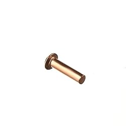 Aicosineg 50Pcs Solid Rivet 0.16in Dia 0.63in