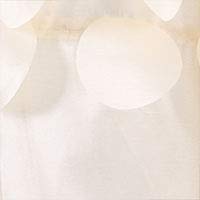 Lush Decor Lillian Shower Curtain Textured Shimmer Circle