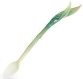 Franz Peace &amp; Harmony Bamboo Spoon