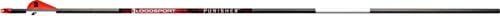 BloodSport Punisher Arrows 500 2 in. Vane 6 Pk., black