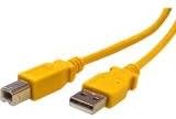 BYTECC Bytecc Usb2-10Ab-Y Usb 2.0 Cable- A Male To Type B Male