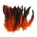 Wholesale 50 beautiful feathers 12-18cm / 4-7inch Orange