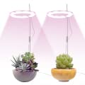 HUIKJI Garden Lamp Plants Growth Lighting,USB Light Full Spectrum Timing Switch Plant Grow Halo Light Adjustable Height Plant LED for Indoor Greenhouse Succulents Seedlings 3.2 X9.8in