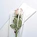 BBJ WRAPS Single Rose Packaging Bags Flower Bouquet Bag, 100 Counts (White)