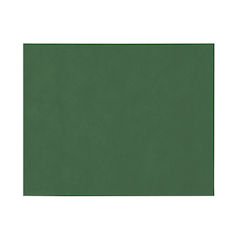 Papstar Soft Selection, 100 Place Mats, Fabric-Like Fleece 30 cm x 40 cm Dark Green # 82324