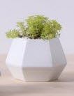 Enkel Modern White Geometric Flower and Succulent Pot Planter Perfect For Home And Office, Each pot sold individually (PLANT NOT INCLUDED)