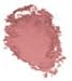 Clinique Blushing Blush Powder Blush #106 Berry Delight
