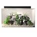 SeaClear 20 gal Acrylic Aquarium Combo Set, 24 by 13 by 16