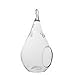 WGVI WGV International HCH0205 Hanging Glass Plant Terrarium, 5.5, Clear