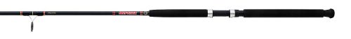 Daiwa Beefstick Bottom Rod 7' Xh 1Pc