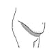 3-Pack Tummy Liner (36