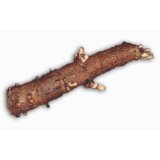 Northern Brewer Hop Roots Rhizomes 2 Pack Grow Hops Brew Beer