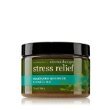 Bath & Body Works AROMATHERAPY Stress Relief Eucalyptus Spearmint Sugar Scrub 13 Fl Oz