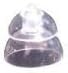 Oticon 8mm POWER MiniFit domes (2 Packs-20 domes) by miniFit 8mm