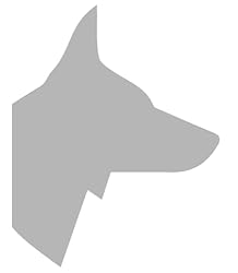 Wolfone 9m Light Grey Heavy Duty Robust Training