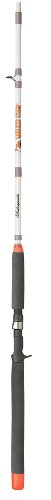 Shakespeare wild cat spinning rod