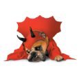 Zelda Devil Dog Costume - Pet Costume - Small