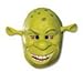 Shrek 34 Vinyl Mask Child Costume Mask,Green,One Size