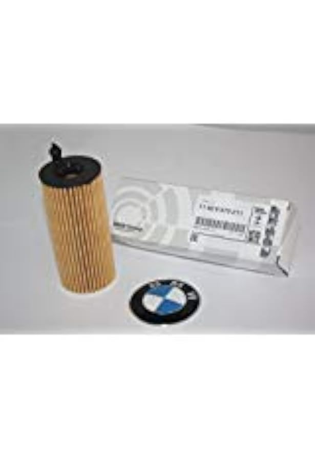 Amazon.com: BMW 11427953129 Set Oil Filter Element : Automotive