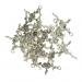 Dovewill Rose Flower Branch Pattern Cross Charms Pendants DIY Necklace Bracelet Jewelry Making Craft Findings Pack of 20