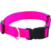 Westminster Pet 34143 Nylon Pet Fashion Collar