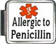 Allergic To Penicillin Medical Alert Italian Charm Bracelet Link