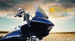 Dark 12 in. Stingray Windshield 2015-2016 Harley Road Glide
