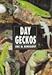 Day Geckos by 
