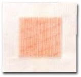 Ferris PolyMem Adhesive Island Cloth Dressing (4x5) (Box of 15) by PolyMem