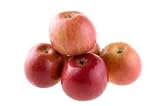 Fuji Apple