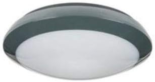 PLAFÓN LED PLADILED 80 2N CON DETECTOR HF + EMERGENCIA COLOR ...