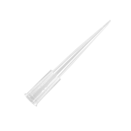 Axygen T200C Universal Pipet Tips with Bevelled End, 200 microliters