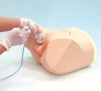 Kyoto Kagaku - Mw2a - Simulator Male Catheterization (each)